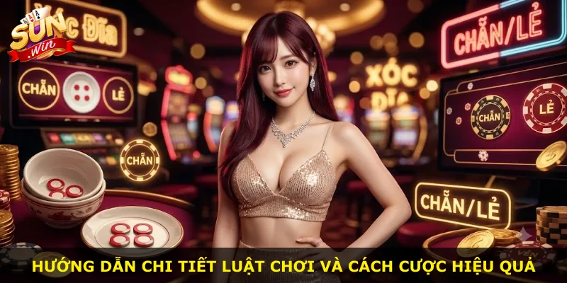 Hướng dẫn chi tiết luật chơi và cách cược hiệu quả
