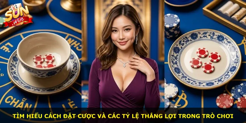 Tìm hiểu cách đặt cược và các tỷ lệ thắng lợi trong trò chơi